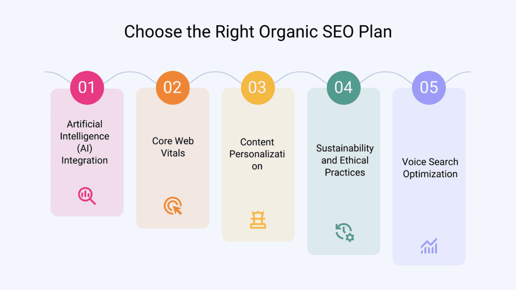 Choose the Right Organic SEO Plan