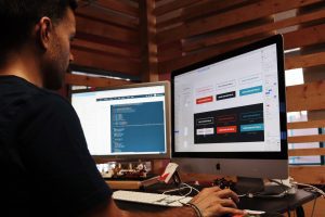 seo expert services
